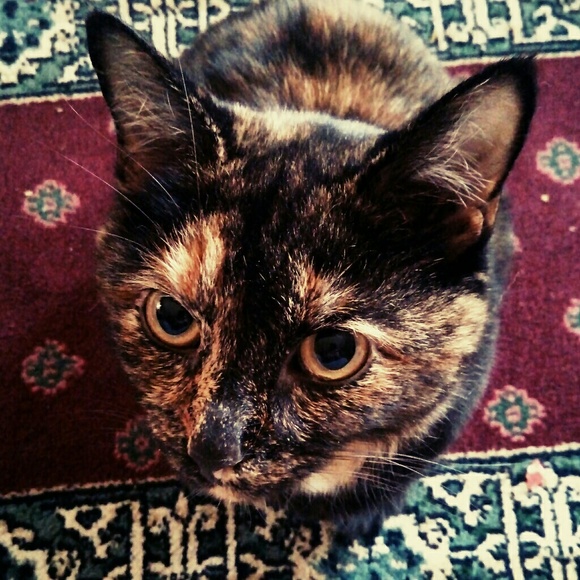 Meet your Posher, Sarah - Picture 8 of 8